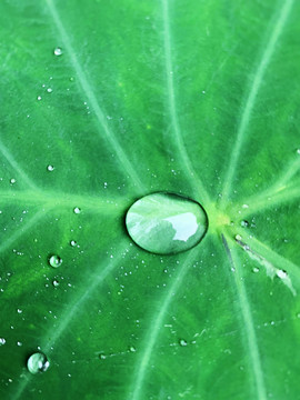 水滴