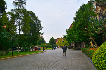 公园绿化道路