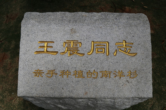雕塑