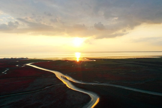 盘锦红海滩