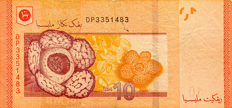 马来西亚纸币