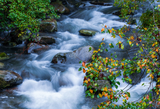 秋天的溪流美如画
