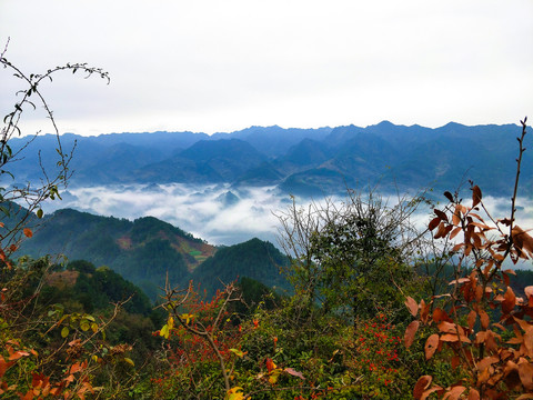 山间云雾