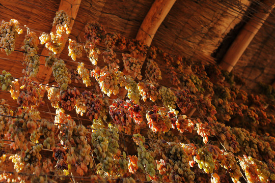 吐鲁番晾房屋顶上的葡萄干