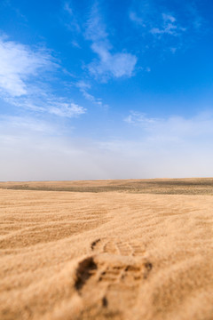 沙漠脚印