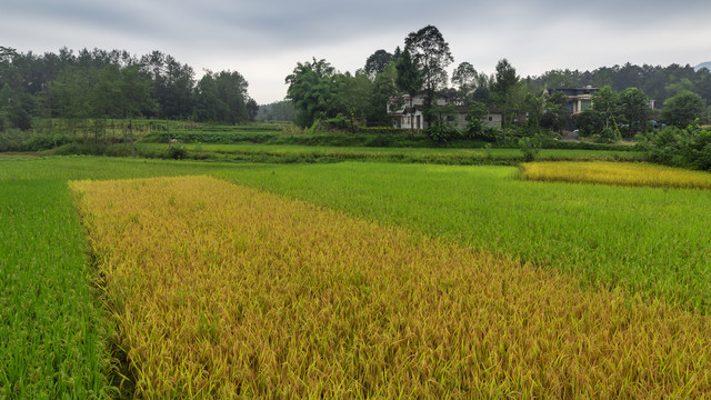 美丽乡村