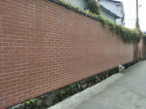 绿植与院墙