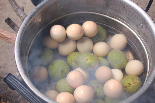 核桃煮鸡蛋