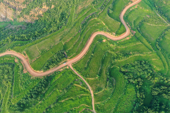 黄河小浪底调沙调水