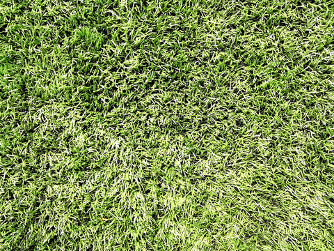 足球场人工塑胶草地草坪