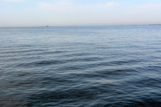 海洋背景