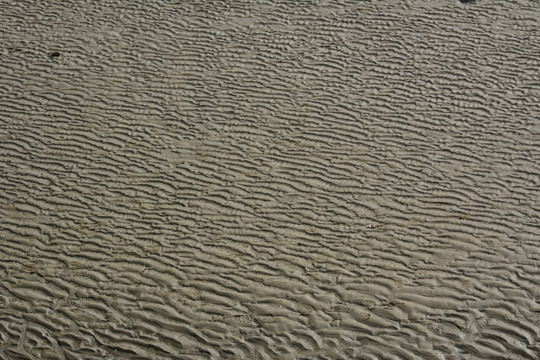 海滩纹理