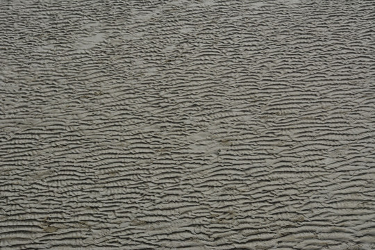 海滩纹理