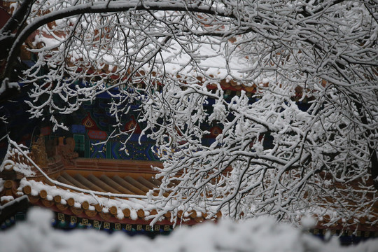 北京孔庙国子监雪景