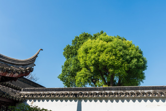 苏州园林一角