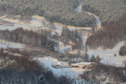 雪景