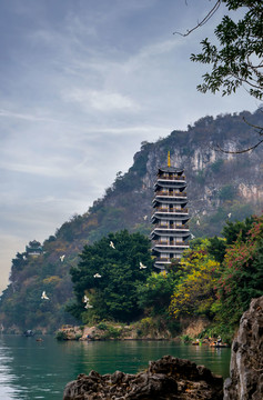 青山绿水怡情柳江