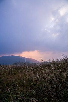 东白山山顶风景