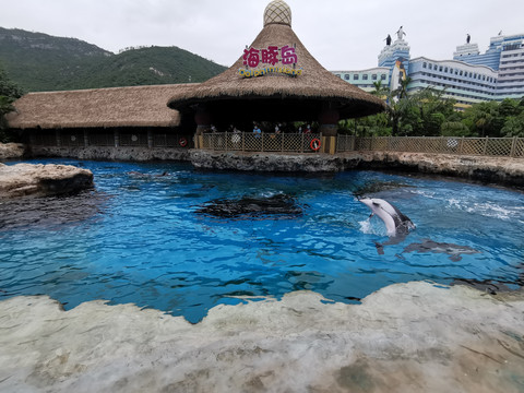海豚岛