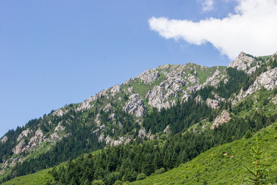 高山丘壑