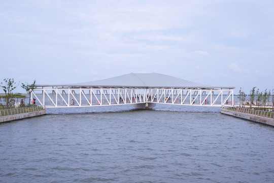 临港景观桥