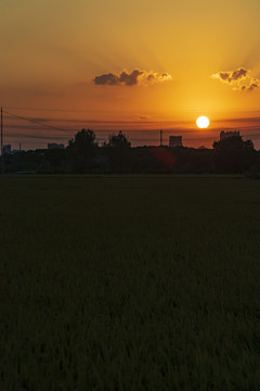 田野夕阳