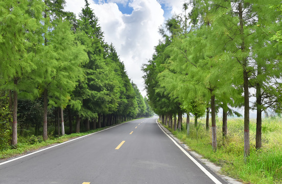 乡村柏油路