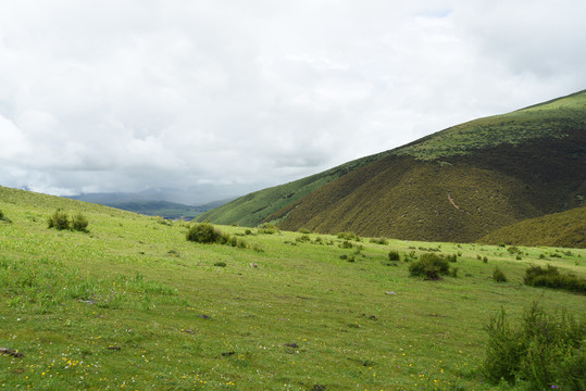 草原风景