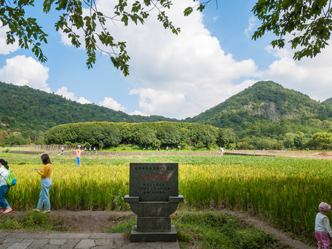 八卦田学生秋假