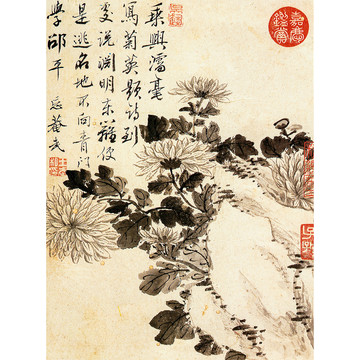 王武花卉国画