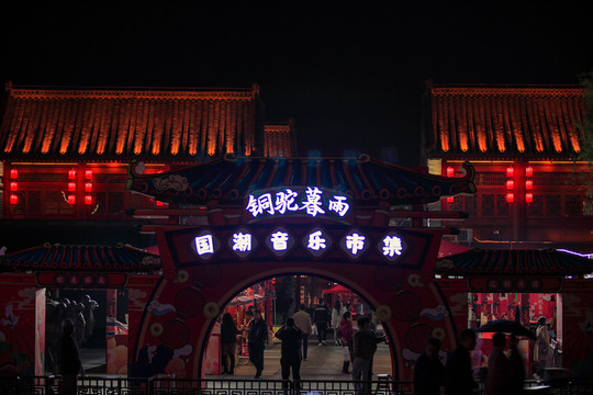 洛阳铜驼暮雨夜景