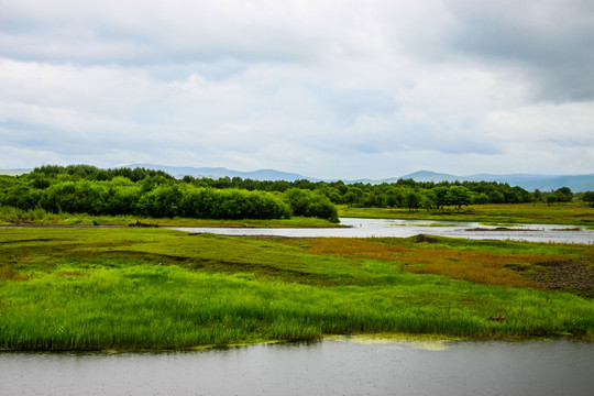 河流湿地