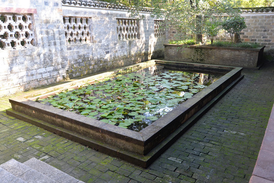 古建筑庭院荷花池