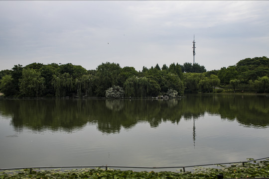 公园湖景