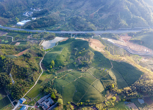 高速公路通过茶山