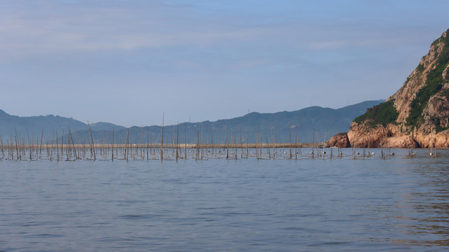 霞浦北岐滩涂