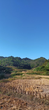 蓝天下的田野