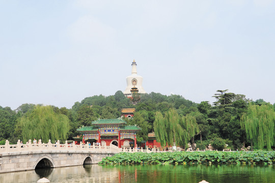 公园