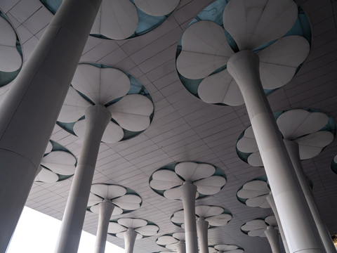 上海国家会展中心装饰柱