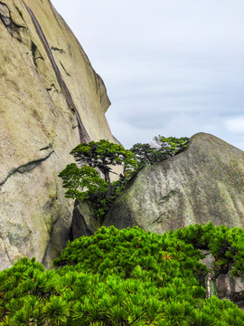 天柱山