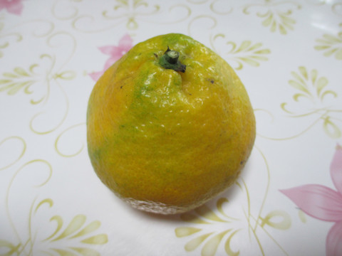 橘子