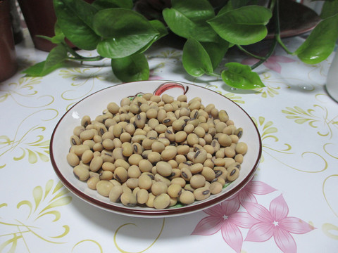 黄豆