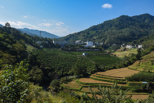 师宗高良小镇风光