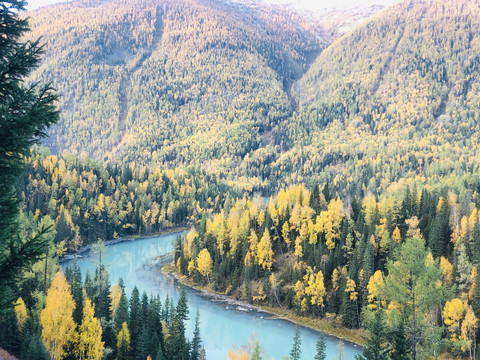 新疆阿勒泰高地风景