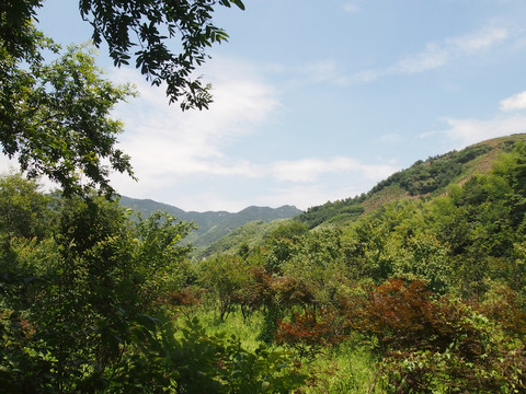 奉化溪口雪窦山风景名胜区