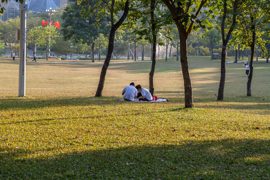 公园里情侣席地而坐