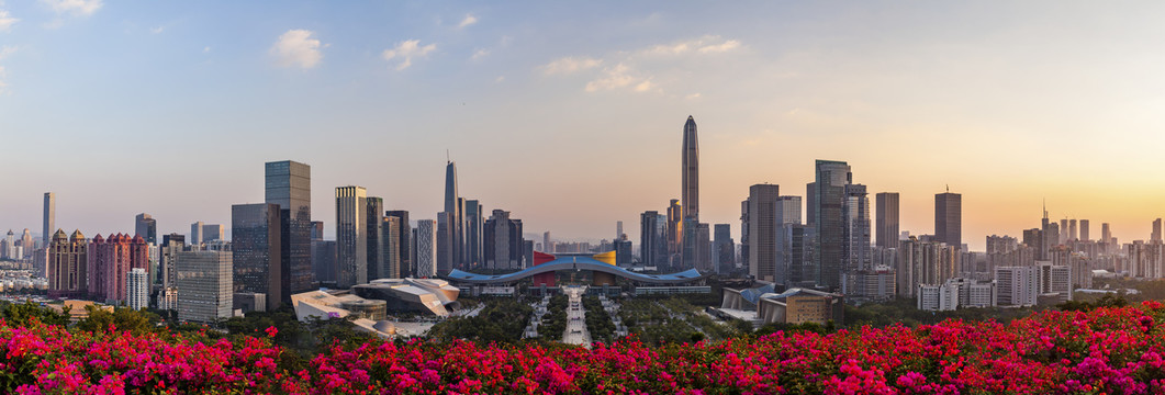 深圳地标建筑风景