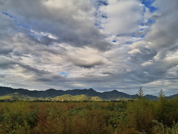 郊区风景