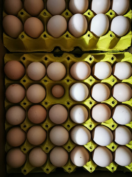 鸡蛋装箱