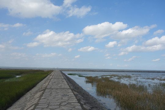 横沙岛